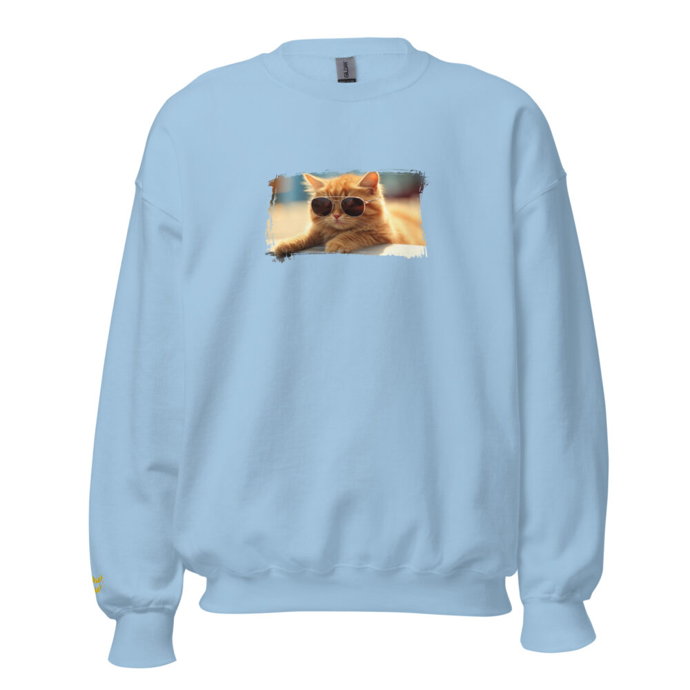 Golden Hour Aviator Cat Crewneck - immagine 40