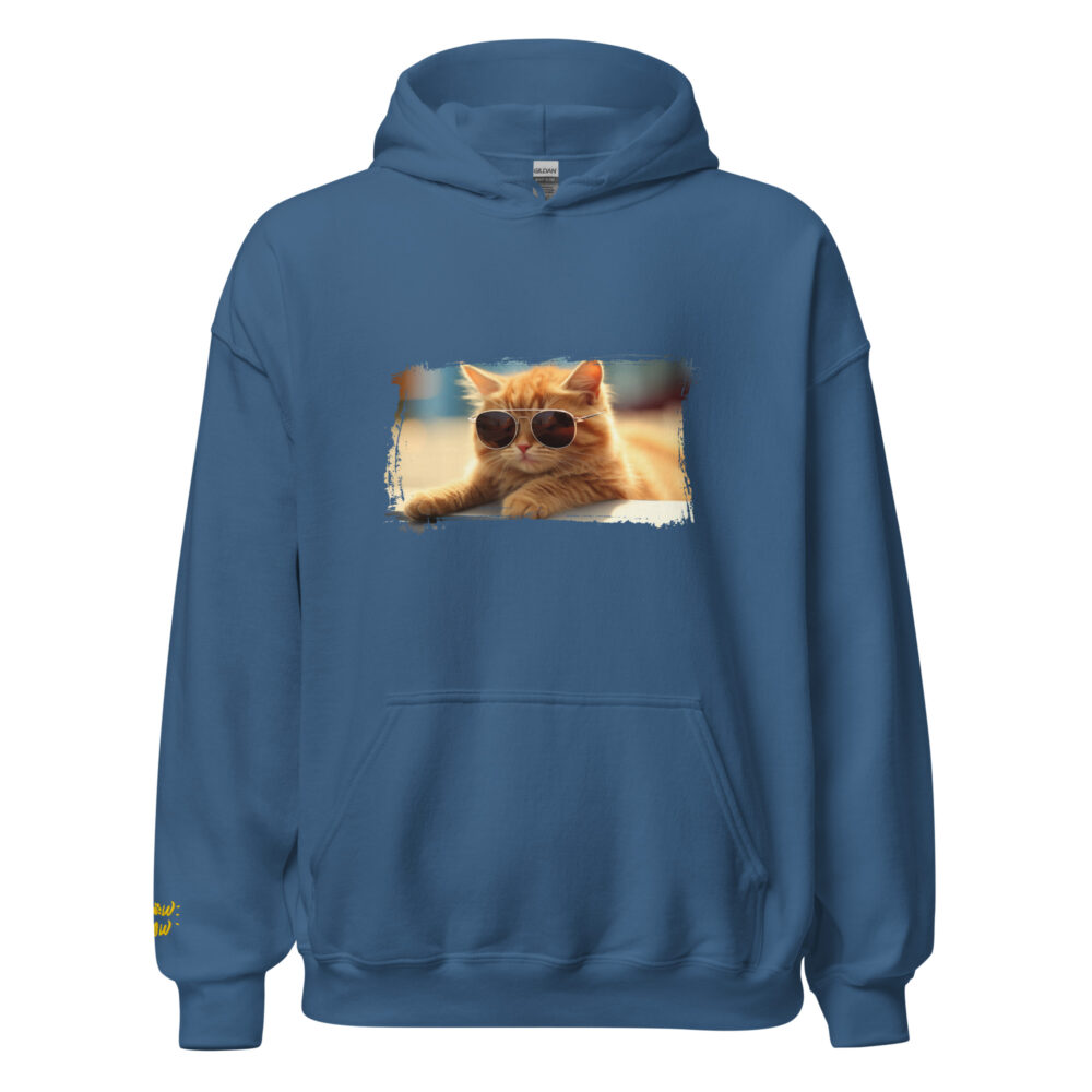 Golden Hour Aviator Cat Hoodie - immagine 52