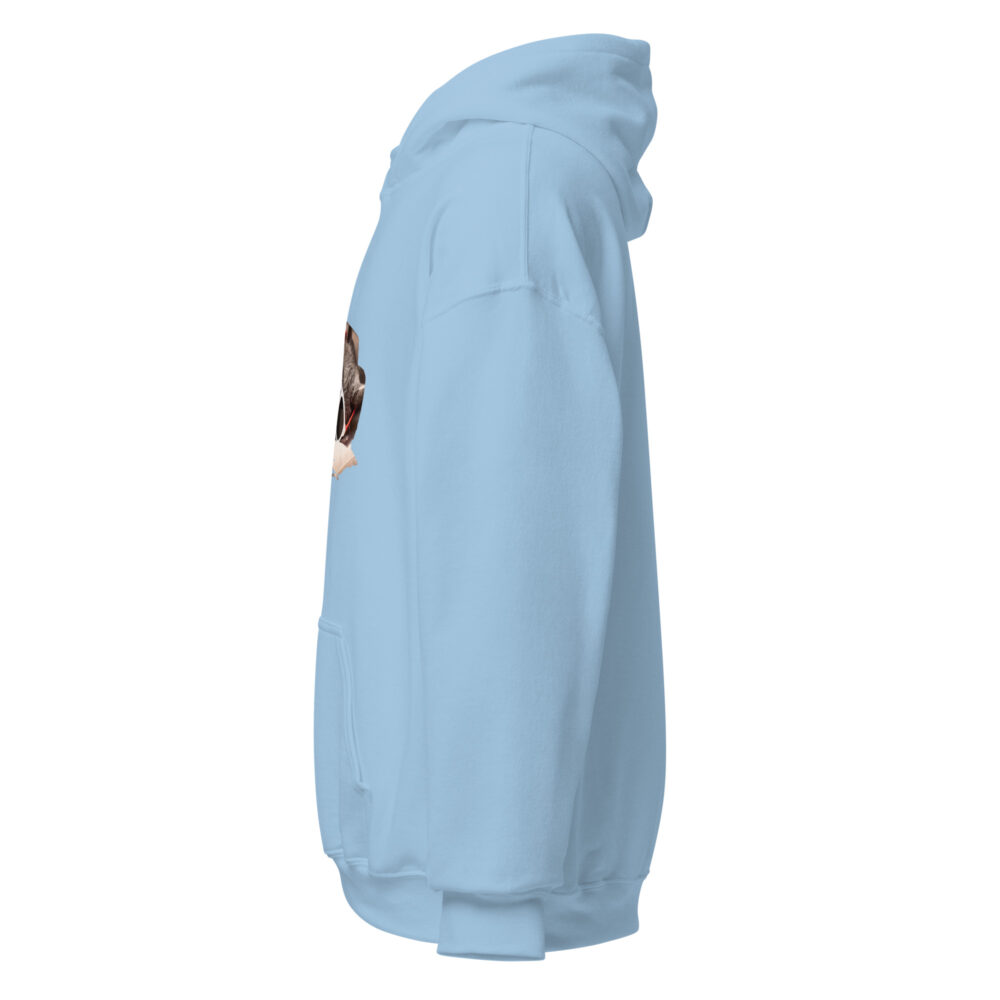 Cool Cat Nap Retro Hoodie - immagine 63