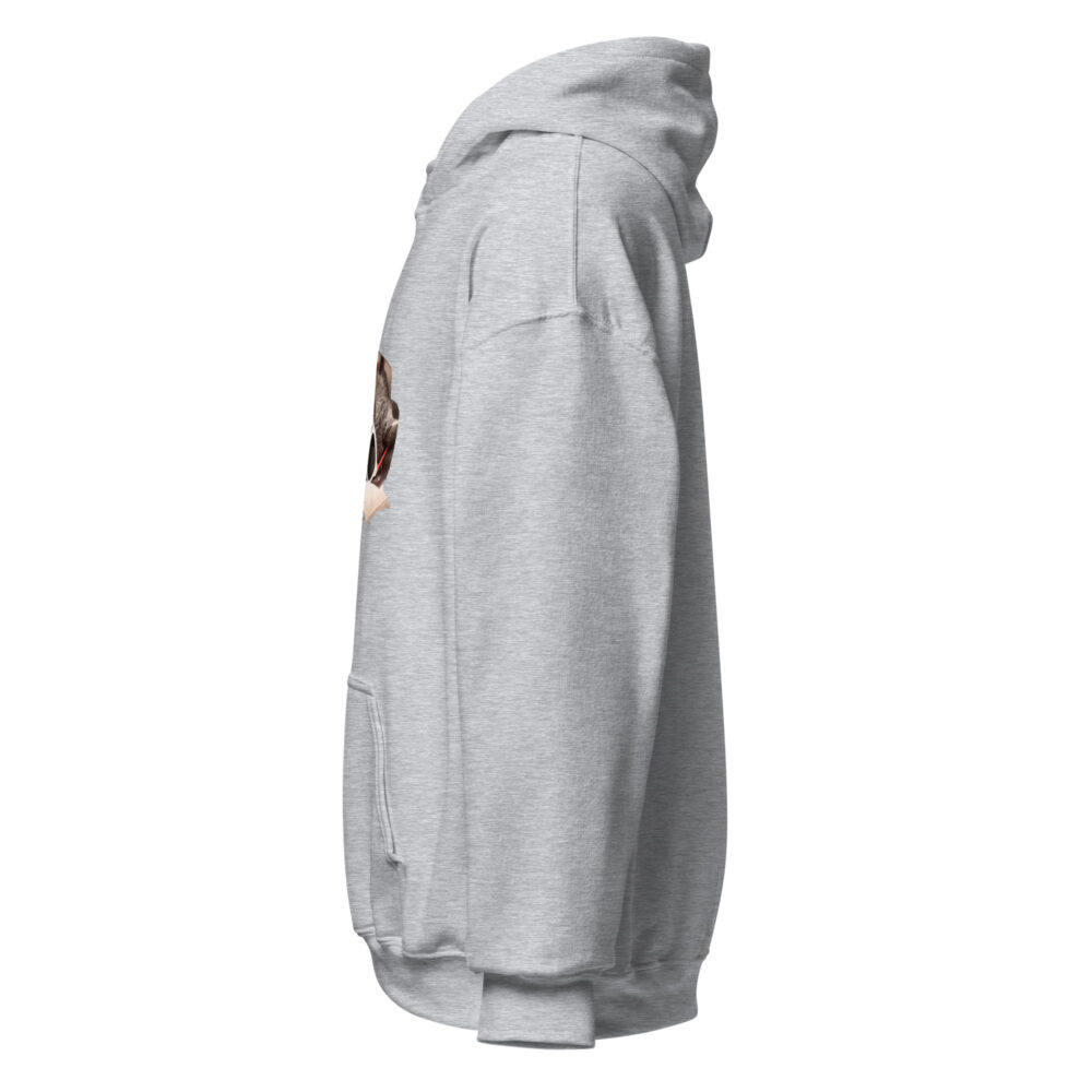 Cool Cat Nap Retro Hoodie - immagine 59
